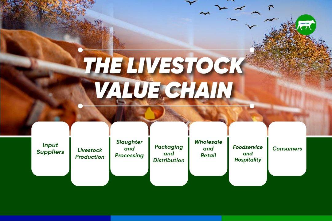 The Livestock Value Chain - Cover Image